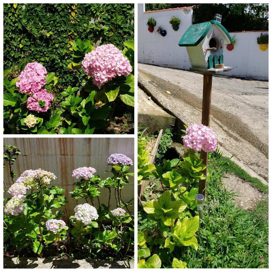 Estalagem Hortensias